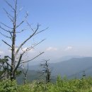 풀빛동산 이미지