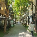 보정동 카페거리 이미지