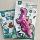 티렉스덴탈 이미지