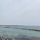 Private Parsley Club 이미지