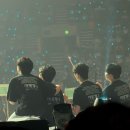 티켓팅으로 도파민 찾는 여성<데이식스 The DECADE FINALE in SEOUL>
