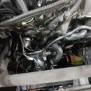 신성모터스 이미지