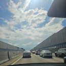장꽁 | 안면도 여행 아이와 함께한 힐링 가족 여행 (자연휴양림 안면카트체험장 장꽁펜션 갯벌체험 등등)