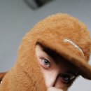 Tree of im 이미지