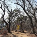 히포힐스 이미지