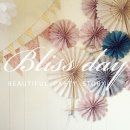 블리스데이(Bliss Day) 이미지