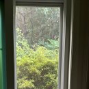 339빌리지태안안면도독채펜션 이미지