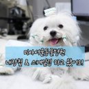 미사서울동물병원 이미지