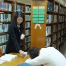 사진을 찍다 이미지