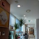 알리르마리산후조리원 이미지