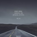 새우잠