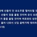 싯딤 - 남양주시 | 싯딤