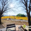 반곡초등학교(병설) 이미지