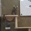 곳간-멍앤캣 | 송도 연말 실내 데이트 추천 테이블에이 앤 로우켓 후기