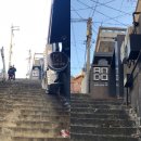 탑매일약국 이미지