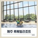 루체빌리조트 | 제주 서귀포 가성비 루체빌리조트 패밀리+조식+수영장 패키지 4월 방문 후기.