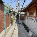 혜화동물약국 이미지