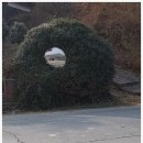 비석농산 이미지