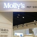 몰리스펫샵 센텀 이미지