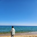 상광호 | 속초 애견동반 숙소 복돌네 민박 후기