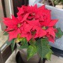 소가담한의원 이미지