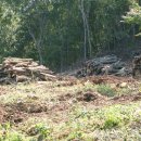 안고농장 이미지