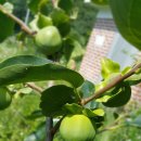 너래농원 이미지