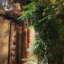 대구 교동 맛집 추천 | 레트로 감성 노포 ‘달벌생막창’ 방문 후기 (위치·주차·영업시간·메뉴)