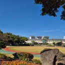 효돈동부도서관 이미지