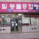 목동동물병원 이미지