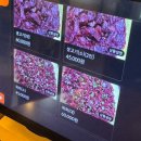 계룡건설산업(주) | 대구 달성군 다사 회식 술안주맛집 더웃집에서 육회 사시미 후기