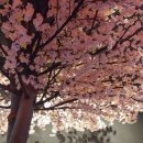 아지트실내포차 네이버블로그