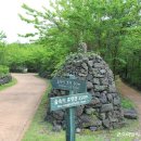 자연그리 이미지