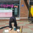 자르지오미용실 이미지