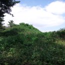 윗대이리 이미지