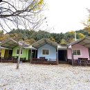 지지밸리야영장 이미지