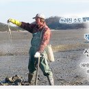 바다들주식회사 네이버블로그