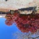 오늘 점심 시간에 순두부 식당에서 이미지