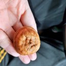 비비큐대이점 | 직접가본 삼척 맛집 삼척가볼만한곳 8군데 정리 Review