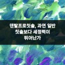 덴탈시그널치과의원 | 덴탈프로칫솔, 과연 일반 칫솔보다 세정력이 뛰어난가