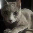 황금2동주민센터 이미지