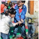 수락병설유치원 이미지