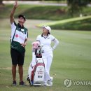 바람 연합뉴스