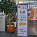 반고흐 특별전, 아트앤호프 초청전, 신규작가 핫 데뷔...메이드 &amp;일러스트레이션페어 부산 관람 솔직 후기