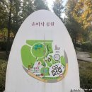 손바닥공원 농구장 이미지