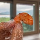 청정수산왕새우 | 경남 고성 대하구이맛집 청정수산왕새우 내돈내산