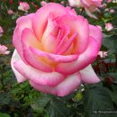 노적봉쉼터 이미지