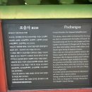 포충사 주차장 | 광주 아이들 놀만한 곳 포충사 실제 후기