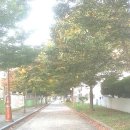 봉선초등학교 체육관 이미지