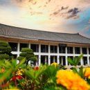 고도벌한정식 이미지